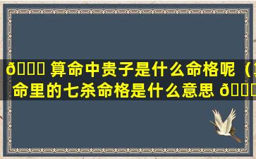 🐎 算命中贵子是什么命格呢（算命里的七杀命格是什么意思 🐅 ）